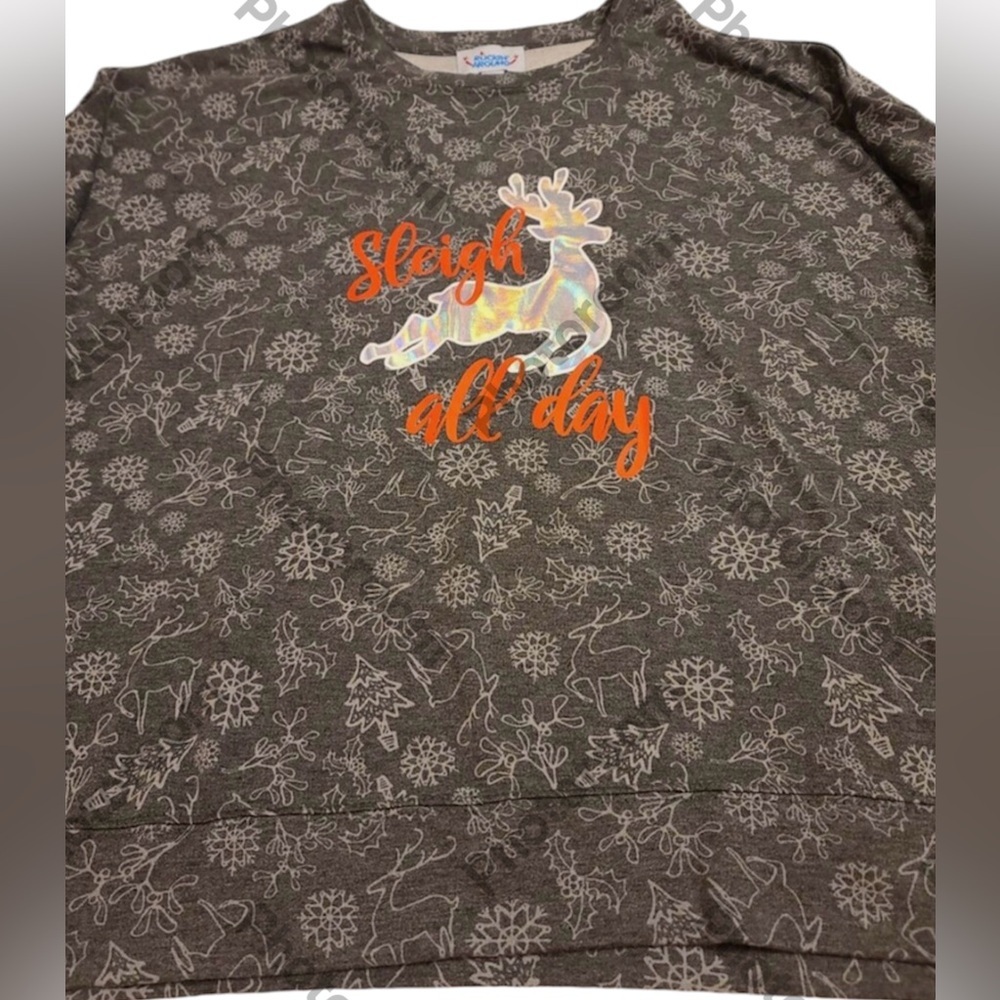 Sz xxl Sleigh All Day Holiday long sleeve top